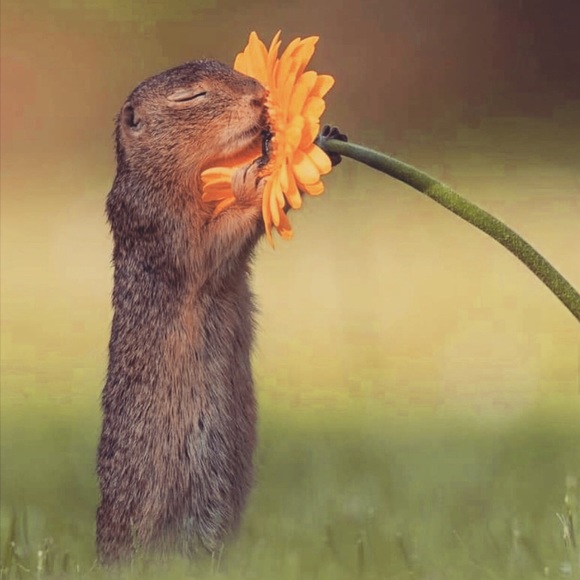 Meet your Posher, Cheri - Picture 5 of 9